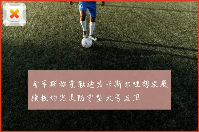 考辛斯称霍勒迪为卡斯尔理想发展模板的完美防守型大号后卫